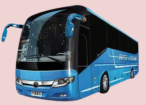 one day tirumala package by bus from Chennai