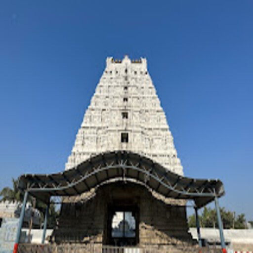 Sri Kalyana Venkateswara Swamy Image