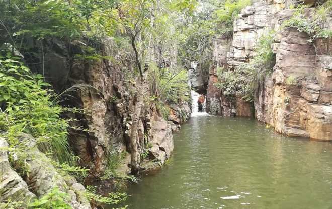 one day tour package from chennai to tirupati