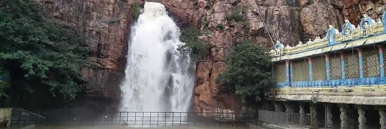 sri govindarajaswami temple tour packages