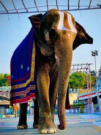 Tirupati VIP Darshan package from Chennai