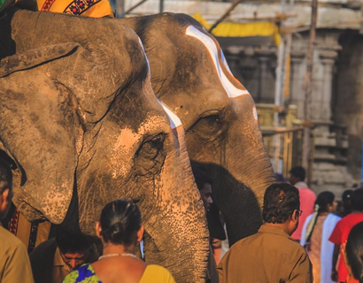 Chennai to Tirupati one day car travel package