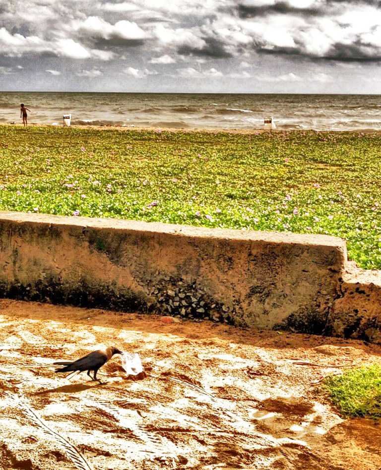 Thiruvanmiyur to Tirupati Tour Package