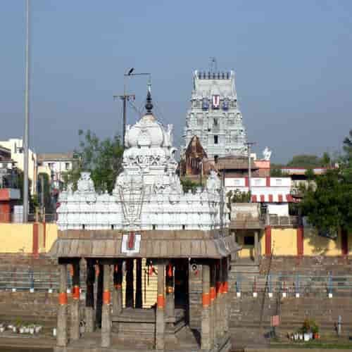 Parthasarathy Temple, Chennai.