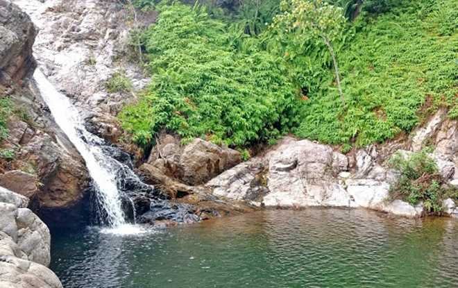 Padmavathi travels Chennai