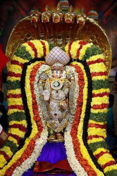 Free Darshan in Tirumala