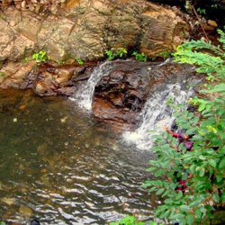 Tirupati car rental package from Chennai