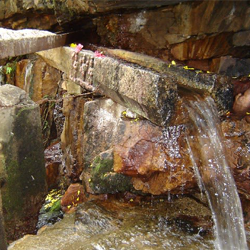 Chennai to Tirumala car rental