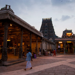 Chennai local sightseeings tour packages