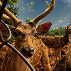 Best Tirupati packages from chennai