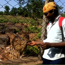 one day trip to tirupati from chennai by car