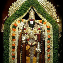 srivani trust break darshan timings