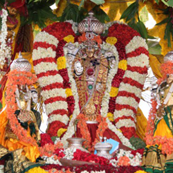 Travel agency from chennai to tirupati