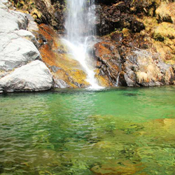 tirupati darshan ticket booking in chennai