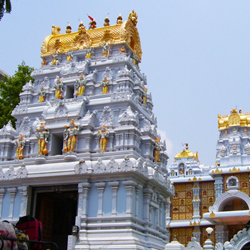 chennai to tirupathi package