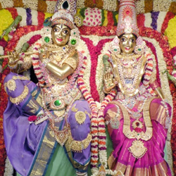 car booking from chennai to tirupati