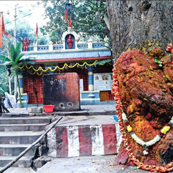 Best Tirupati packages from Chennai