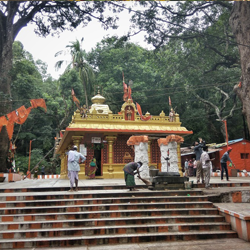 One day trip Chennai to Tirumala