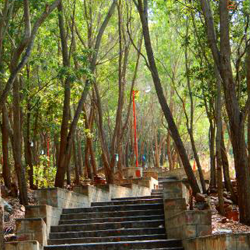 One day package from Chennai to Tirupati by car