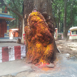 Chennai Tirupati package tours