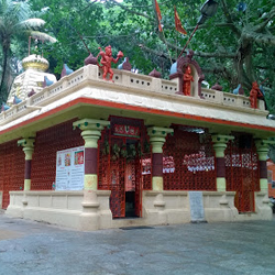 Tirupati package from Chennai