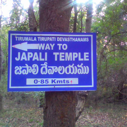 One day trip to Tirupati from Chennai by car