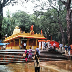 Tirupati VIP Darshan package from Chennai