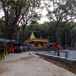 Best travels for Tirupati package from Chennai