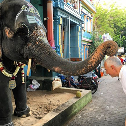 Tirupati Kanipakam Kalahasti Tour Package From Chennai