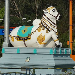 taxi for chennai to tirupati