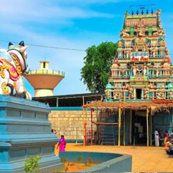 Tirupati VIP Darshan package from Chennai
