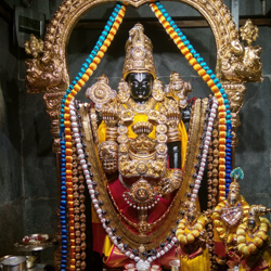 One day Tirupati Tours