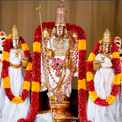 Chennai to Kanchipuram Tour Packages