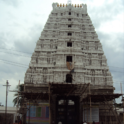 Tirupati Darshan Packages