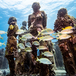 Best Pondicherry Tour Packages from Chennai