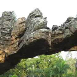 Tirupati darshan ticket booking agents