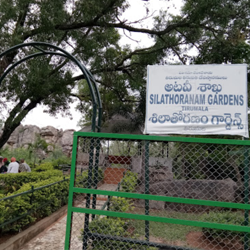 VIP darshan in Tirupati