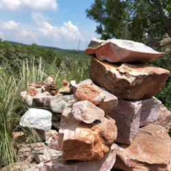 TTD Srivani Trust Tirupati