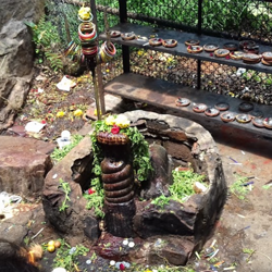 Srivani break darshan online booking