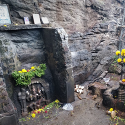 TTD VIP break darshan