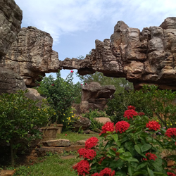 Tirupati darshan ticket booking in Chennai