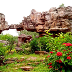 Srivani trust break darshan timings