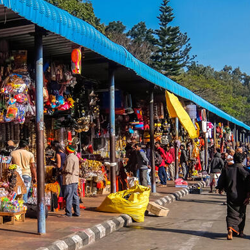TTD ticket booking Chennai