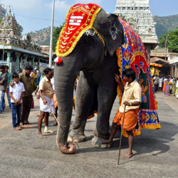 Thiruvannamalai Girivalam tour Packages from Chennai
