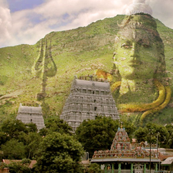 Chennai to Thiruvannamalai car rental