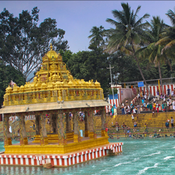 srivani trust break darshan details