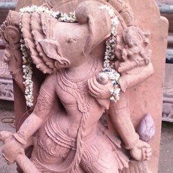 srivani break darshan cost