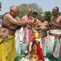 srivani break darshan booking