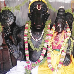 srivani trust break darshan