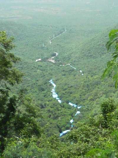 tirumala darshan booking agents
